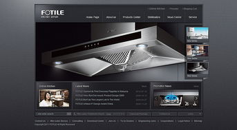 專業網站設計典范 凱娜設計官網與信息系統集成的優秀實踐